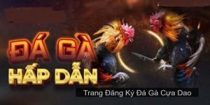 đá gà cựa dao