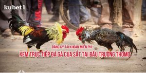 đá gà trực tuyến thomo