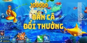 Sức Hút Khó Cưỡng Từ Game Bắn Cá Đổi Thưởng Từ Nhà Cái VN88